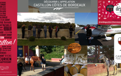 A chacun son castillon !