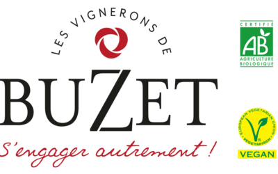 A la découverte des vins végétaliens !
