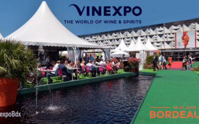Vinexpo ! Les conférences & ateliers : innovation et numérique