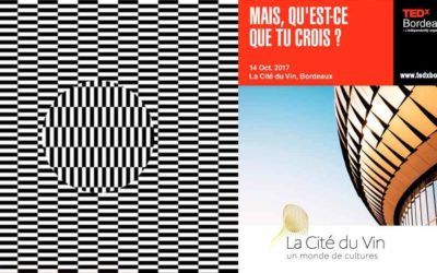 TEDxBordeaux de retour en 2017 : qu’est ce que tu crois…