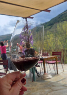 Dégustation en Douro Quinta Pinhao