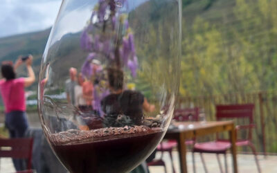 Du clavier à la cave : pourquoi j’ai choisi de devenir sommelière caviste